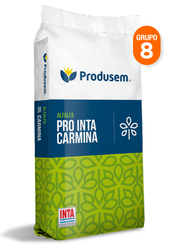 Alfalfa Pro INTA Carmina