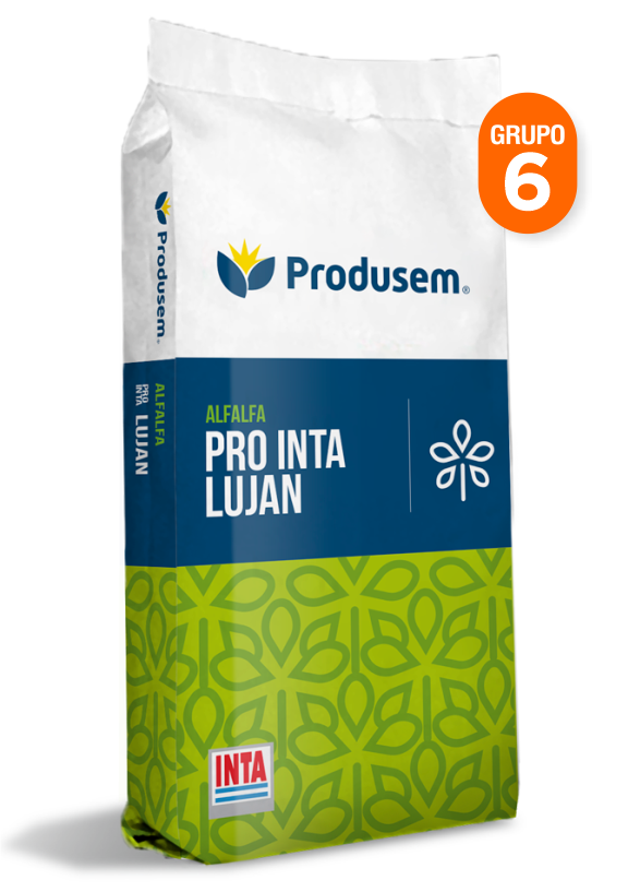 Alfalfa Pro INTA Lujan