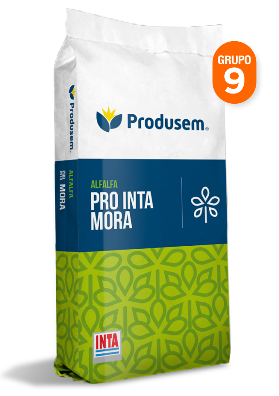 Alfalfa Pro INTA Mora