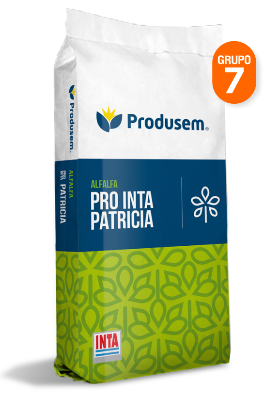 Alfalfa Pro Inta Patricia