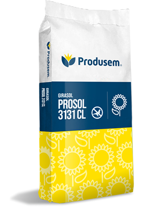Girasol PROSOL 3131 CL