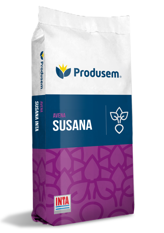 Avena Susana Inta