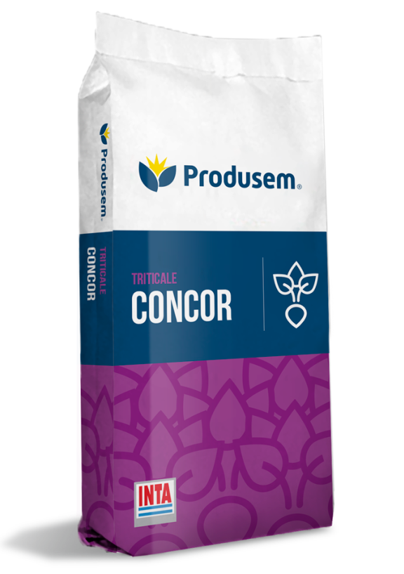 Triticale Concor Inta