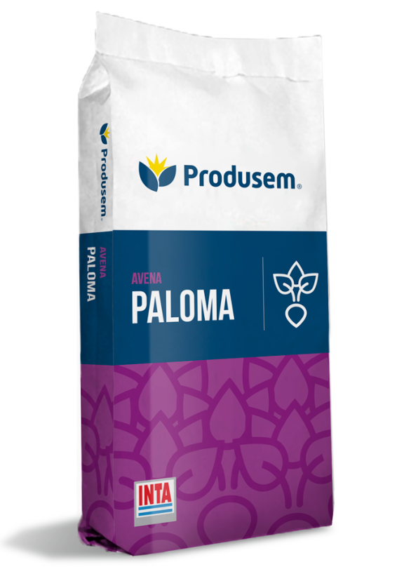 Avena Paloma Inta