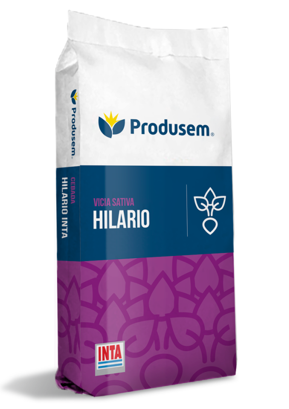 Vicia sativa Hilario Inta
