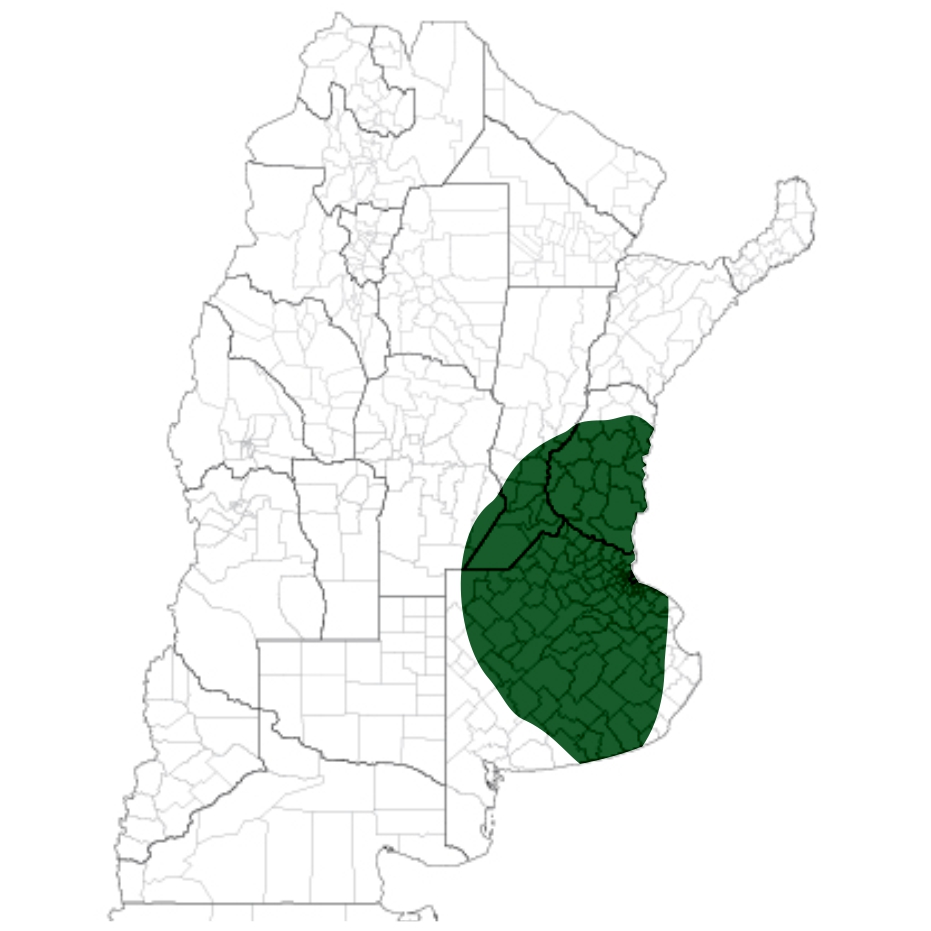 Forrajera Festuca Baguala